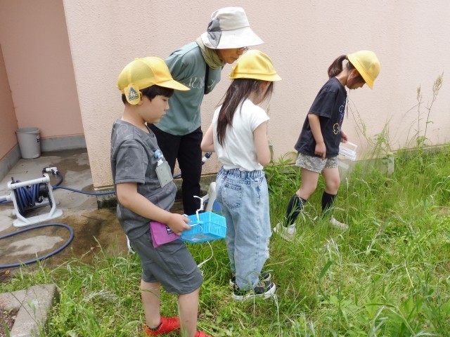 草むらには何がいる？