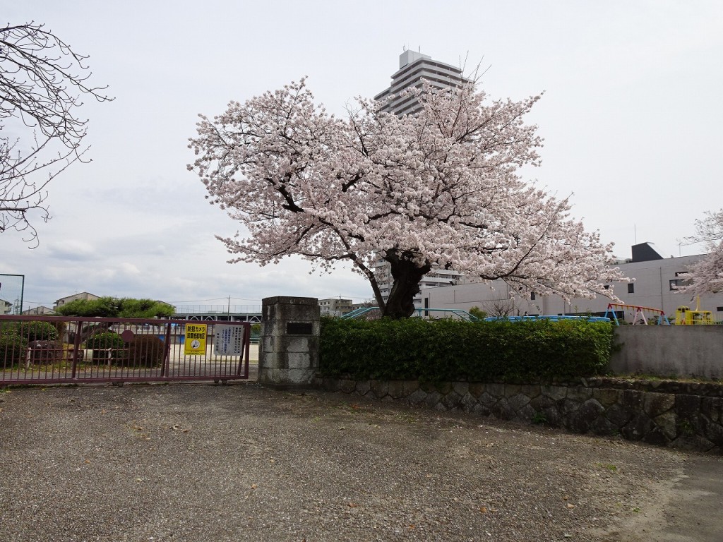 DSC03827.JPG